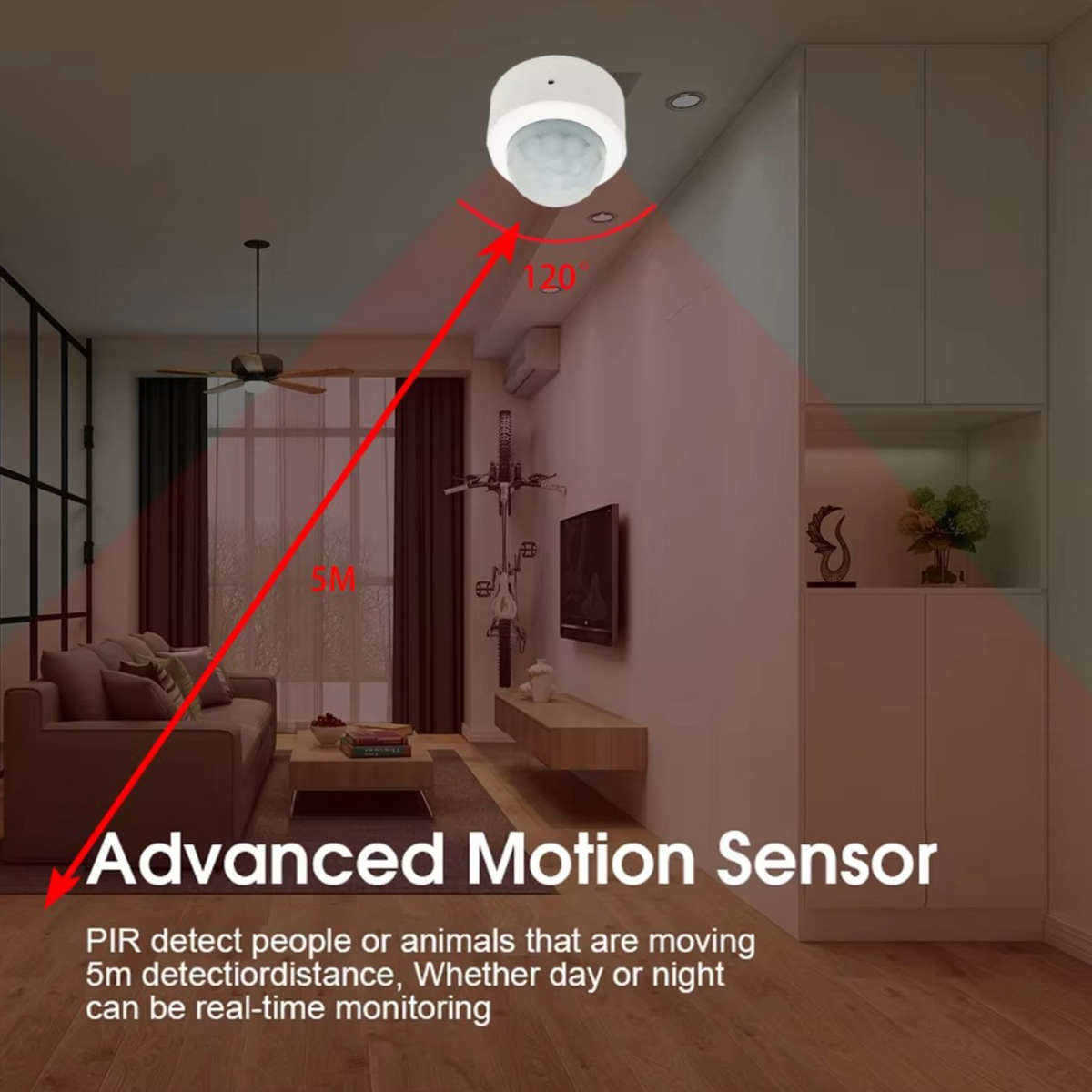 Zigbee PIR Motion Sensor Human - Home Security Technology ulasan dan harga