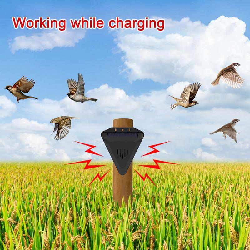 Solar Timer Bird Repeller With - Barking Dog Alarm ulasan dan harga