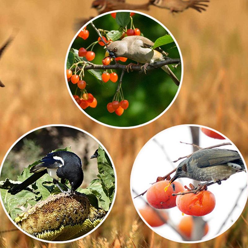 Solar Timer Bird Repeller With - Barking Dog Alarm ulasan dan harga