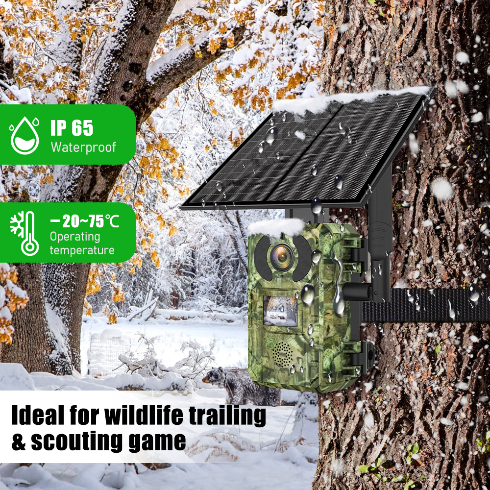 EU Band 4G Cellular LTE Live V - Home Security Ultimate ulasan dan harga