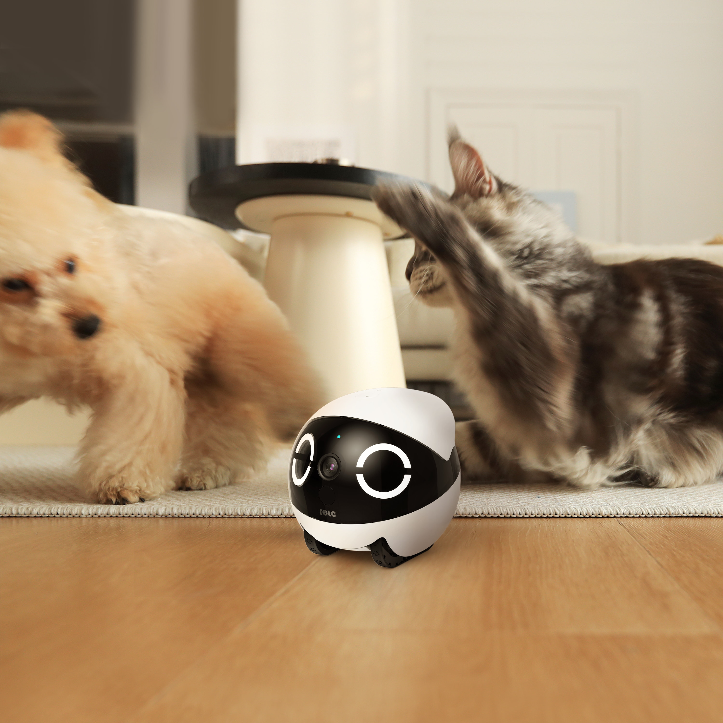 ROLA Mini Significant Other Ro - Home Security And Cameras ulasan dan harga