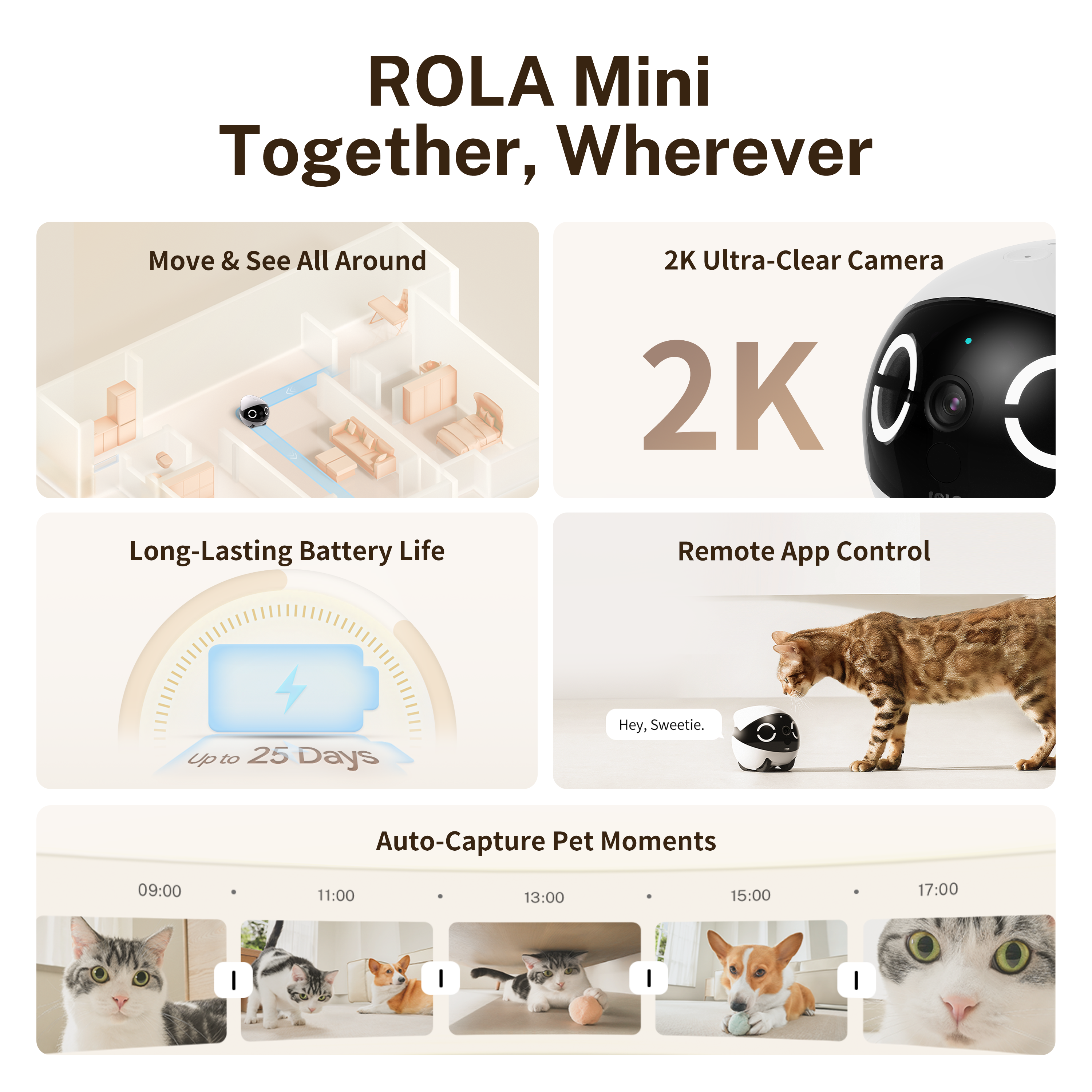ROLA Mini Significant Other Ro - Home Security And Cameras ulasan dan harga