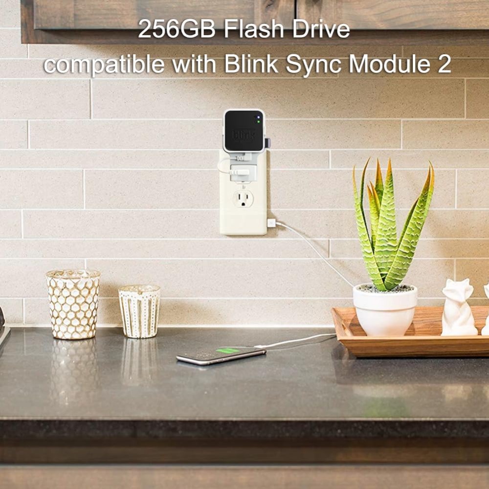 256GB USB Flash Drive with Out - Home Security Images ulasan dan harga